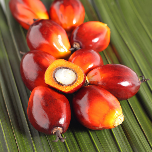 African Cuisine and Culture: A Flavorful Culinary Experience